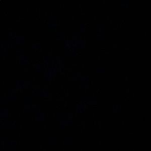 Meet your Posher, Janno